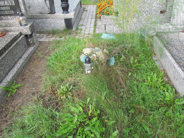 Grób Władysław Zdzienicki