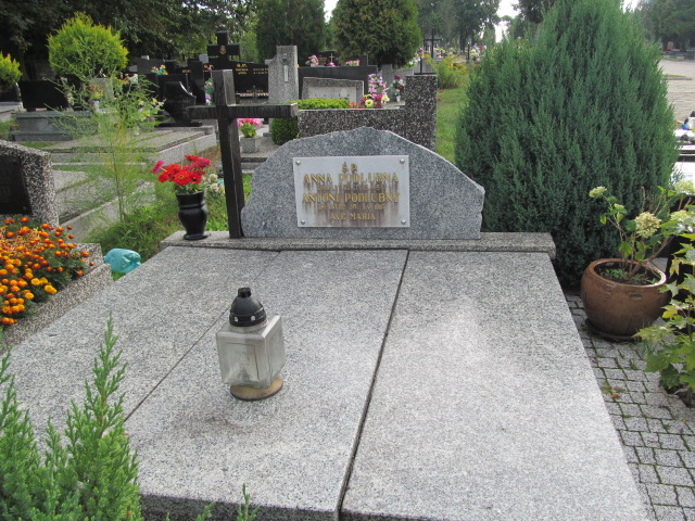 Grób Antoni Podlubny